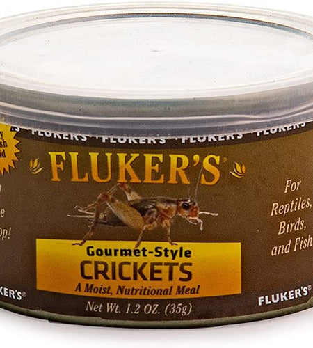 Gourmet Canned Food for Reptiles, Fish, Birds and Small Animals - Crickets