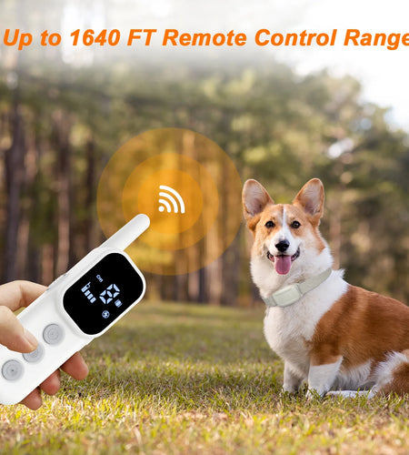 Dog Shock Collar, Dog Training Collar with Remote, Shock Collar for Dogs with Beep, Vibration, Safe Shock, Rechargeable Waterproof Dog Collar for Small Medium Large Dogs